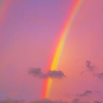后宫宛真传破解版下载
